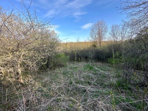 16088 Maple Road, Preston, MN 55965