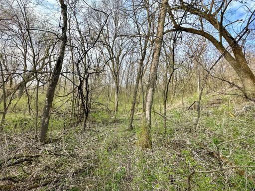 16088 Maple Road, Preston, MN 55965