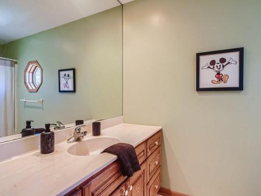 1392 Medina Road, Long Lake, MN 55356