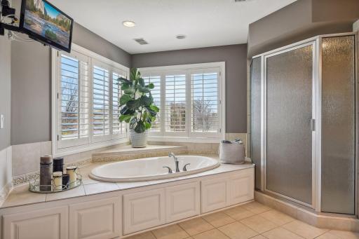 18590 Bearpath Trail, Eden Prairie, MN 55347