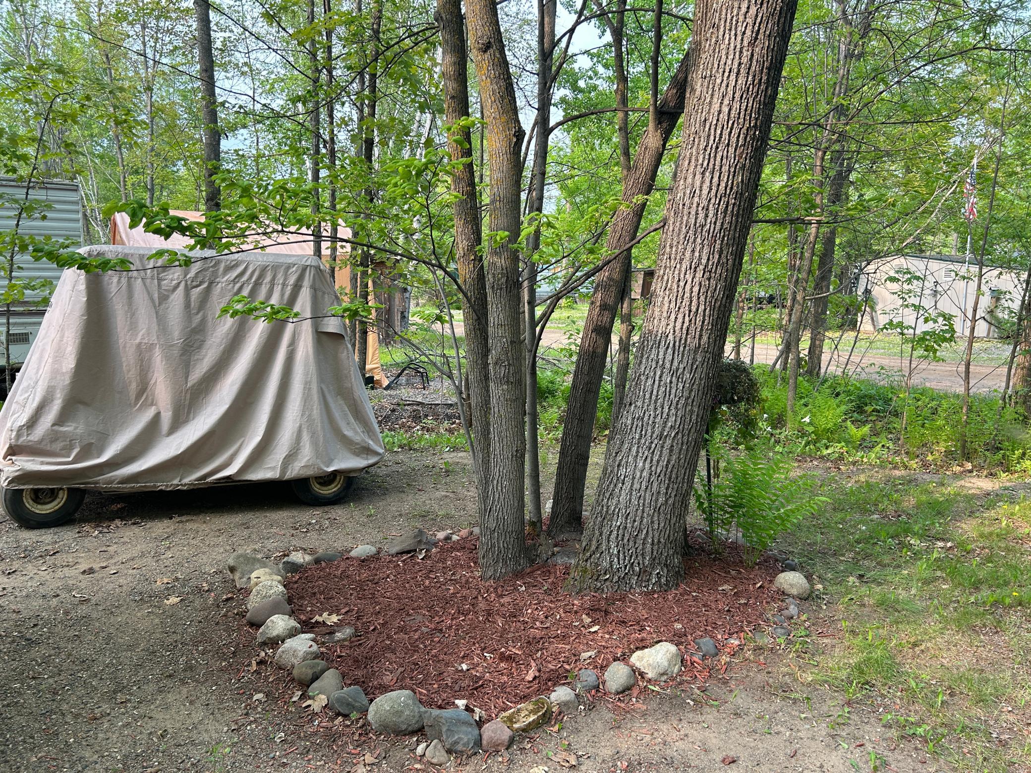 Nice landscaping and golf cart included!