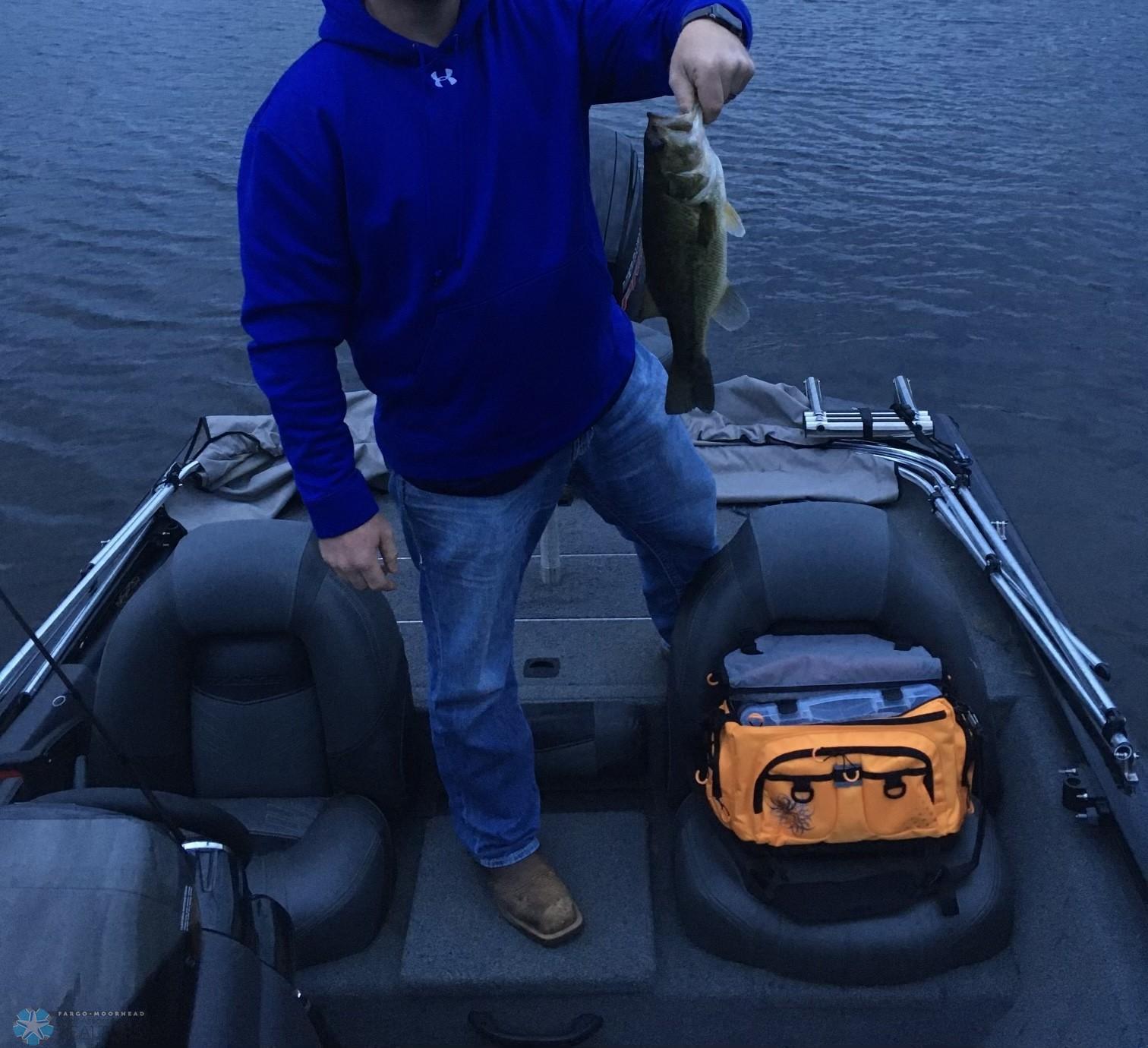 fish 2.jpg
