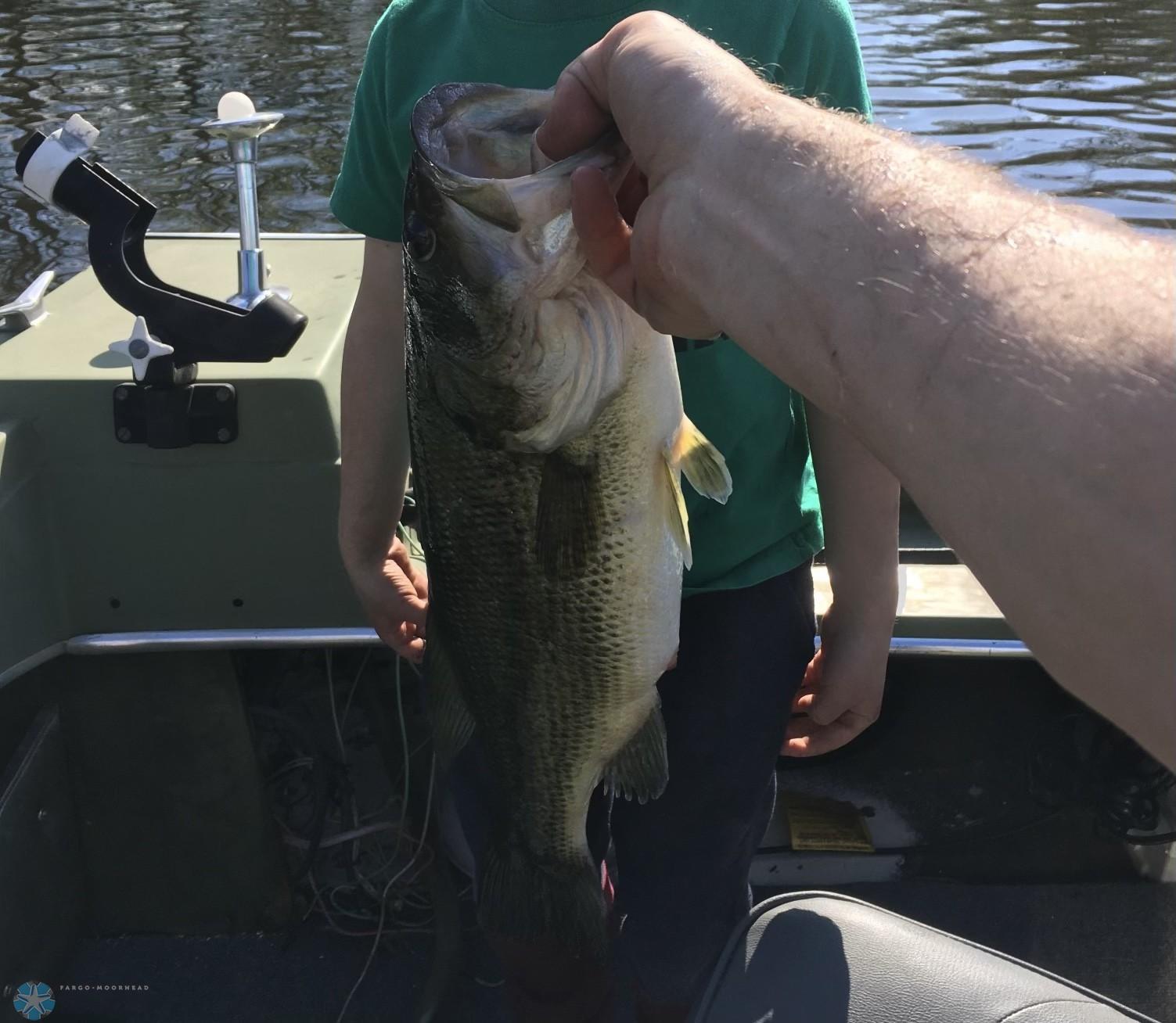fish.jpg