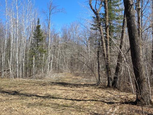 Photo for xxx Maple Road, Willow River, MN 55795 - Listing #6367491 xxx Maple Road, Willow River, MN 55795