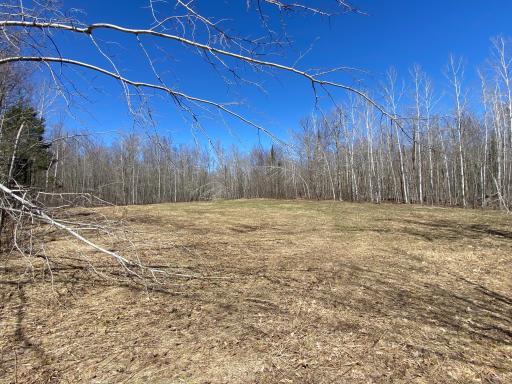 Photo for xxx Maple Road, Willow River, MN 55795 - Listing #6367491 xxx Maple Road, Willow River, MN 55795