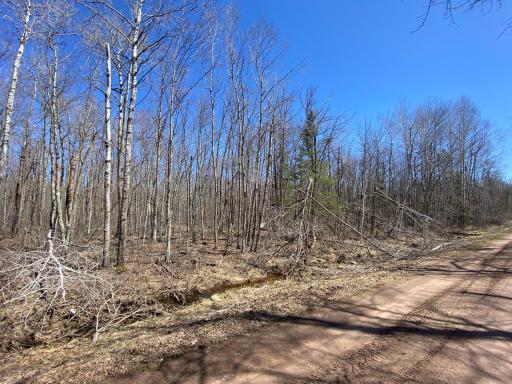 Photo for xxx Maple Road, Willow River, MN 55795 - Listing #6367491 xxx Maple Road, Willow River, MN 55795