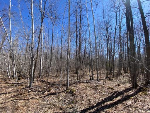 Photo for xxx Maple Road, Willow River, MN 55795 - Listing #6367491 xxx Maple Road, Willow River, MN 55795