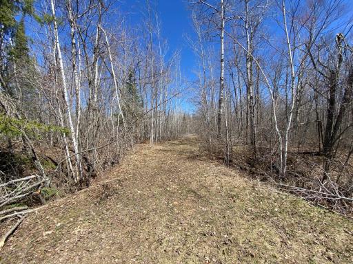 Photo for xxx Maple Road, Willow River, MN 55795 - Listing #6367491 xxx Maple Road, Willow River, MN 55795