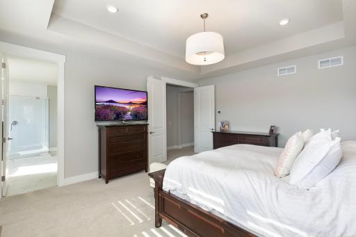Gorgeous owner's suite with lots of windows and boxed-vaulted ceiling
