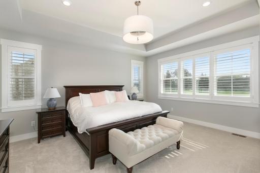 Gorgeous owner's suite with lots of windows and boxed-vaulted ceiling