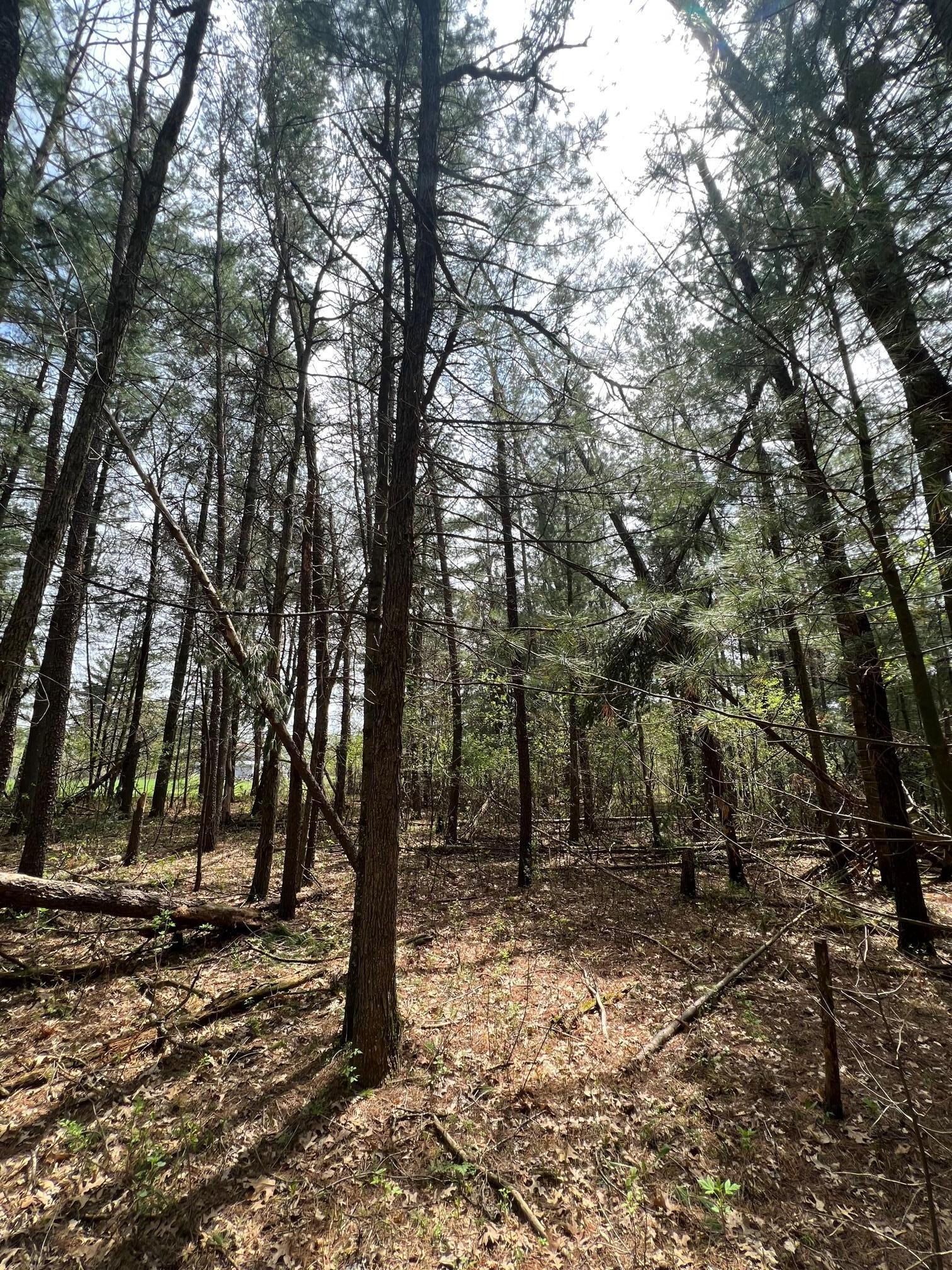 Photo for 325 W Harrison Avenue, Grantsburg, WI 54840 - Listing #6368472 325 W Harrison Avenue, Grantsburg, WI 54840