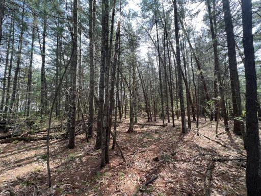 Photo for 325 W Harrison Avenue, Grantsburg, WI 54840 - Listing #6368472 325 W Harrison Avenue, Grantsburg, WI 54840