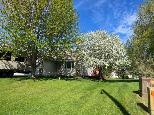 8432_Front Yard.jpeg