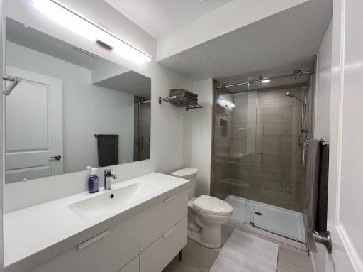 8432_Bathroom LowerLevel.jpeg