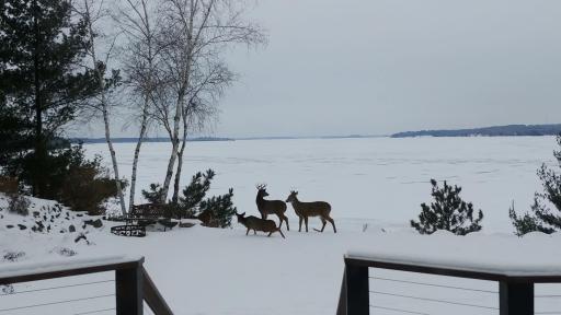 12568 Anchor Point Road, Crosslake, MN 56442
