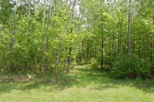 Lot 28 Twilight Court, Emily, MN 56447