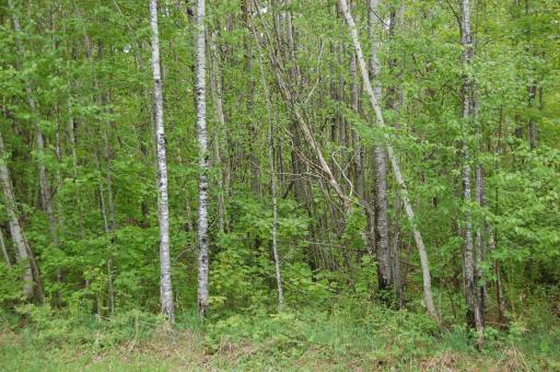 Lot 28 Twilight Court, Emily, MN 56447