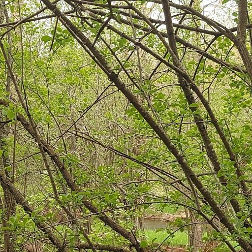 river 2 XXX harrison.jpg