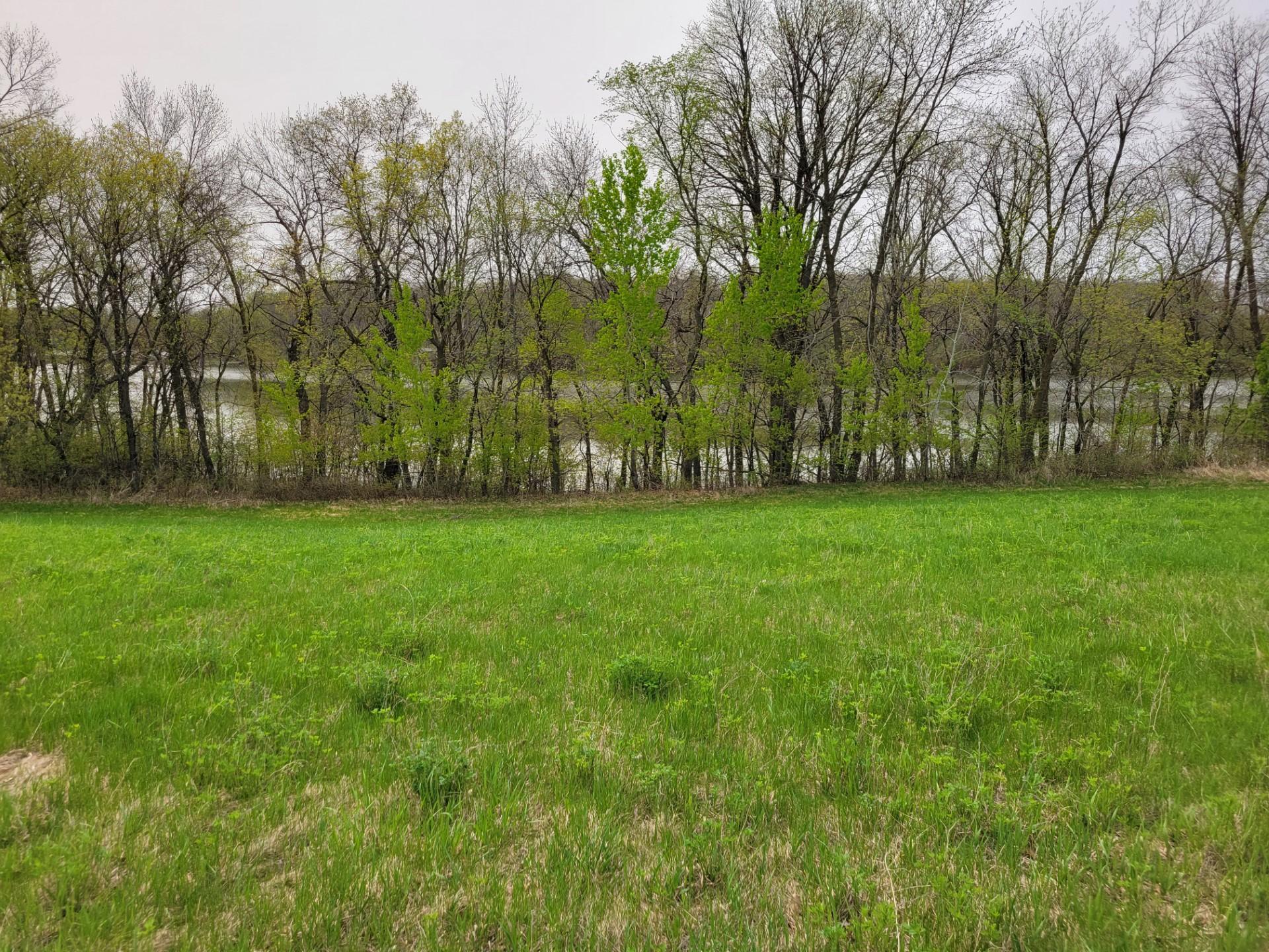 Middle of lot to lake