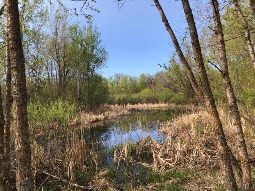 Photo for 27405 110th Avenue NW, Newfolden, MN 56738 - Listing #6371195 27405 110th Avenue NW, Newfolden, MN 56738