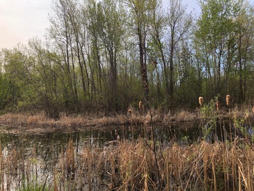 Photo for 27405 110th Avenue NW, Newfolden, MN 56738 - Listing #6371195 27405 110th Avenue NW, Newfolden, MN 56738