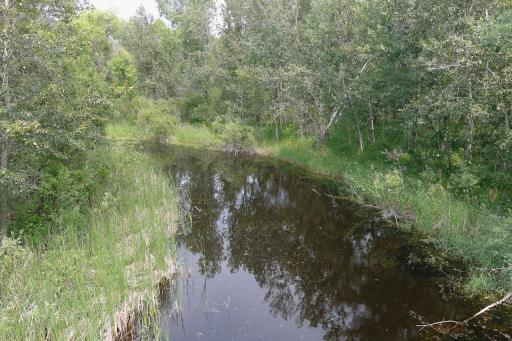 27405 110th Avenue NW, Newfolden, MN 56738