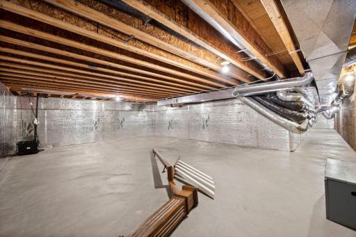 Lower Level Unfinished Storage Area_1.JPG