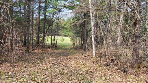 TBD 1 7th Street, Orr, MN 55723