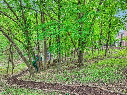 Back Yard Trail & Playhouse!