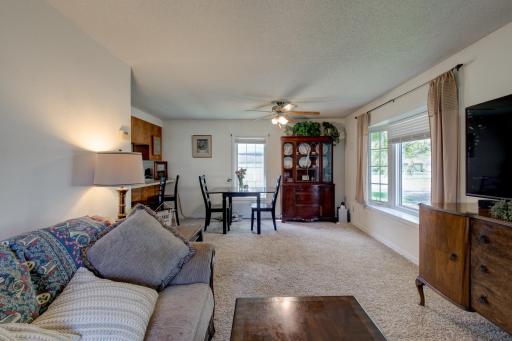 The whole main area living space