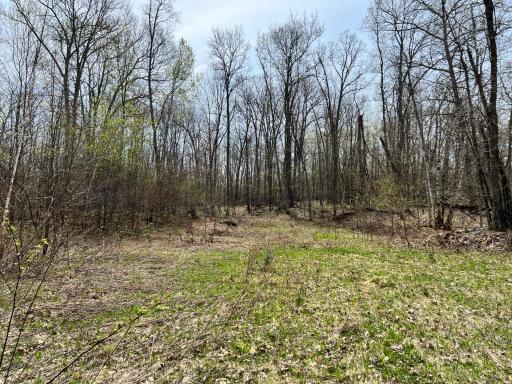XXXX 140th Ave, Balsam Lake, WI 54810