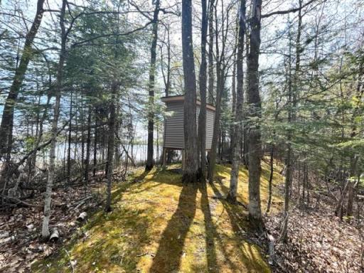 36595 Daybreak Drive, Cohasset, MN 55721