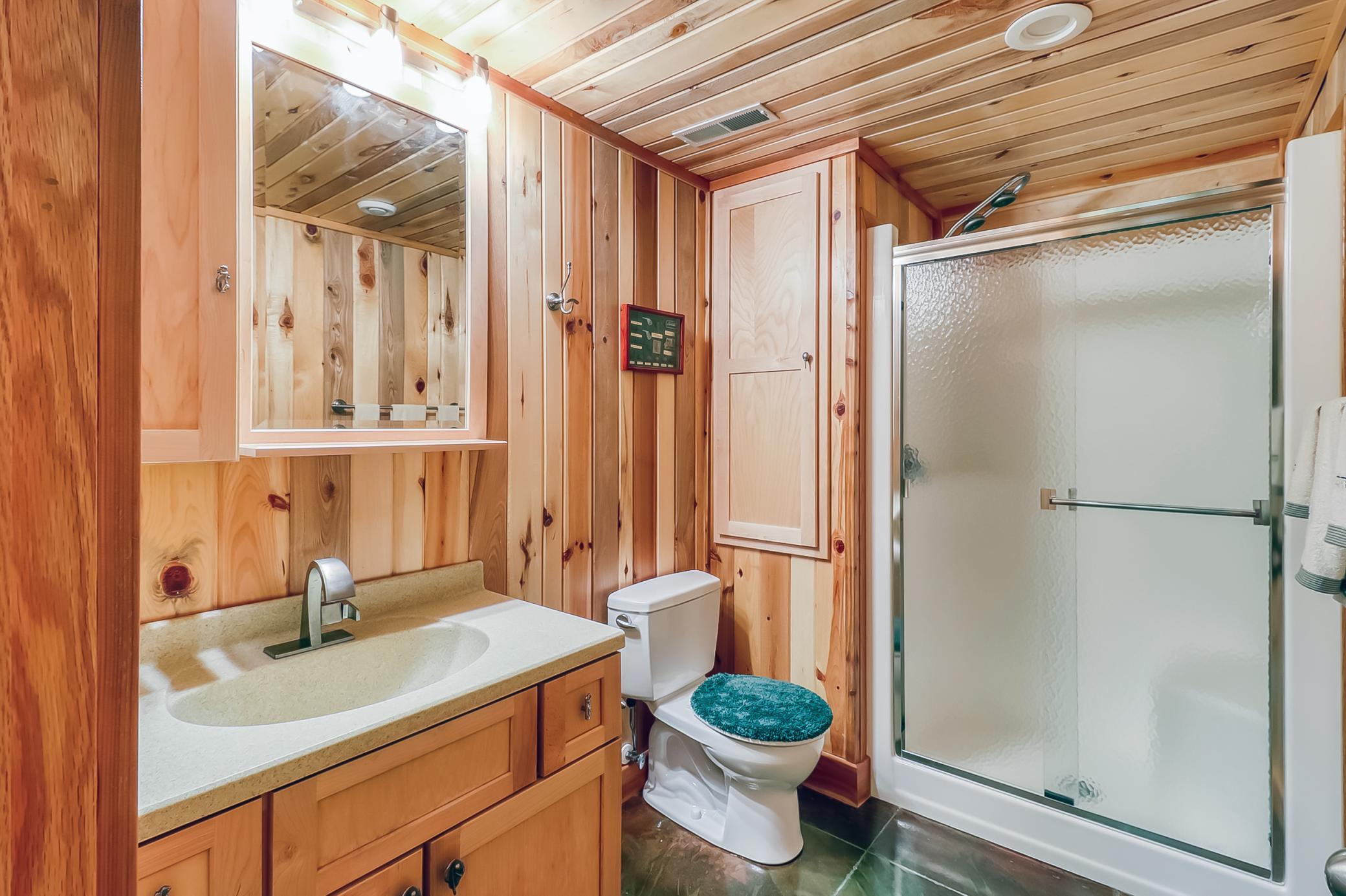 Basement Bathroom