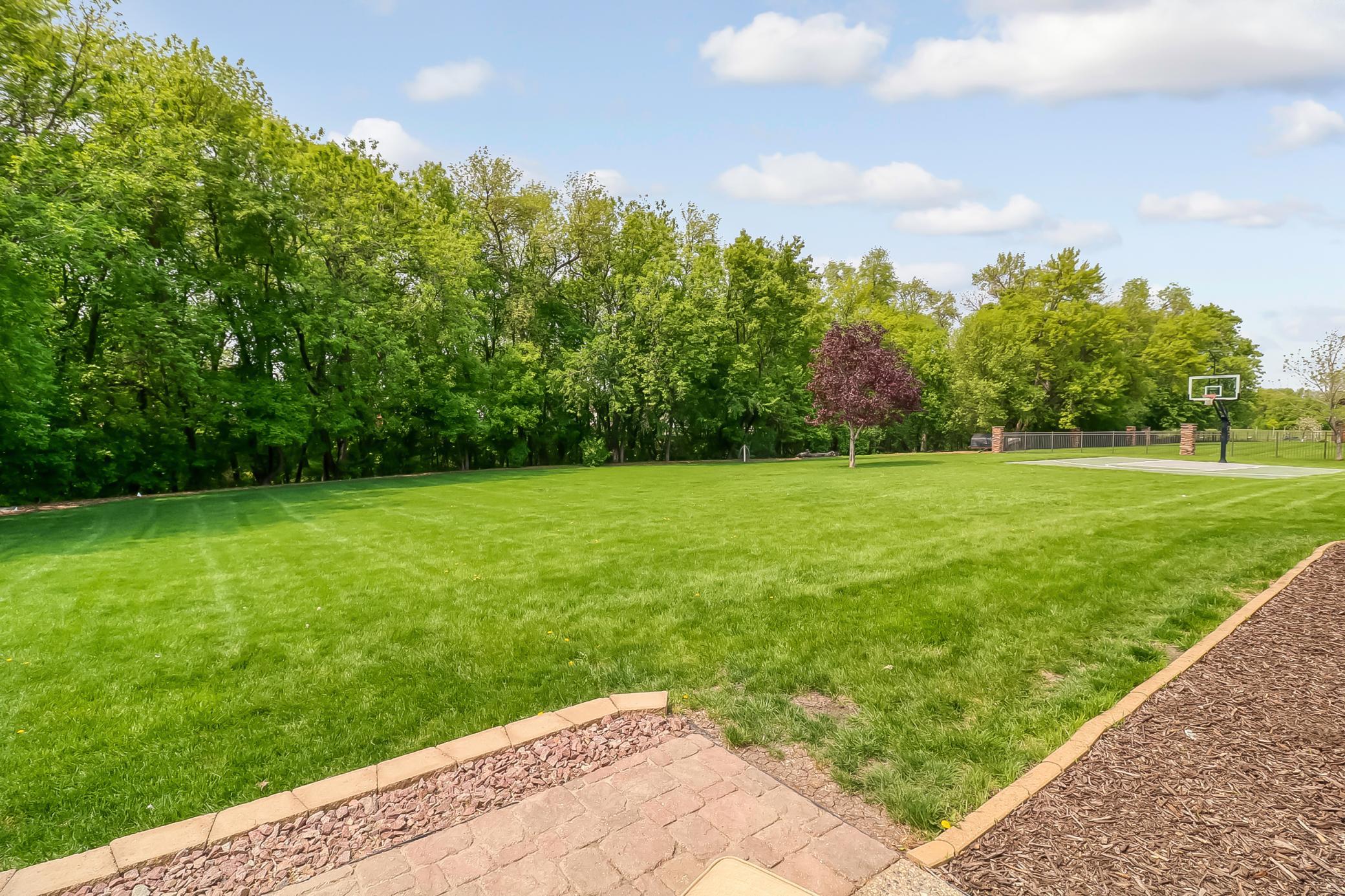 The beauty of nature surrounding your view!