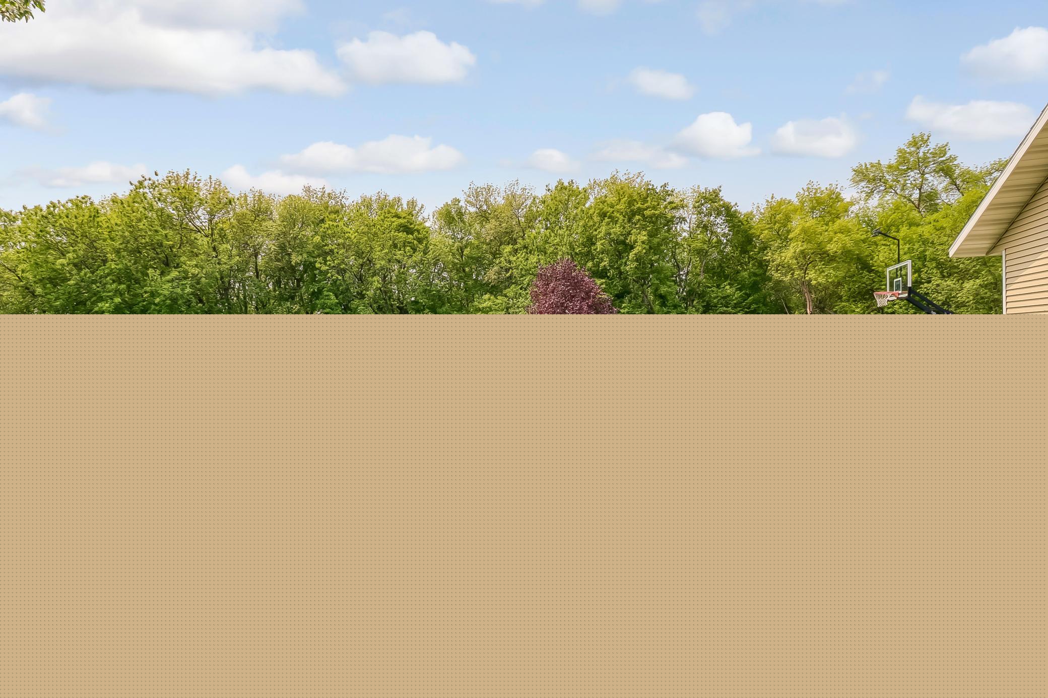 Backyard.jpg