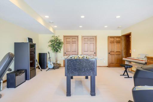 Lower Level Bedroom with WIC and 2nd Mech Room