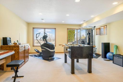 Lower Level Bedroom with great views of the backyard
