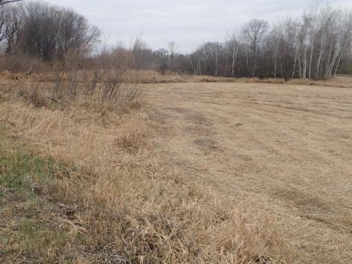 XXX 65th Street SW, Howard Lake, MN 55349