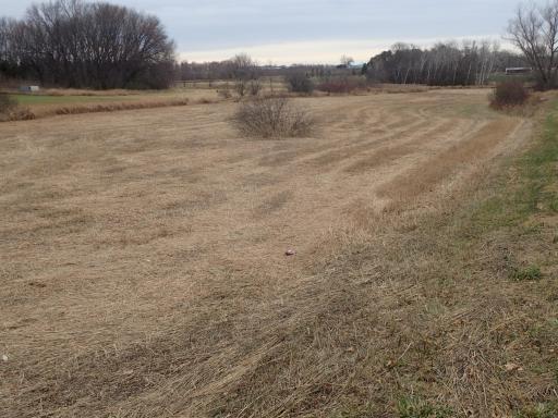 XXX 65th Street SW, Howard Lake, MN 55349