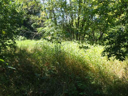 XXX 65th Street SW, Howard Lake, MN 55349