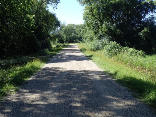 XXX 65th Street SW, Howard Lake, MN 55349