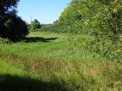 XXX 65th Street SW, Howard Lake, MN 55349