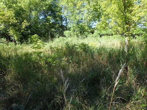 XXX 65th Street SW, Howard Lake, MN 55349