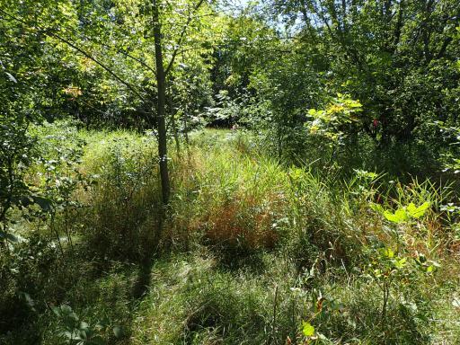 XXX 65th Street SW, Howard Lake, MN 55349