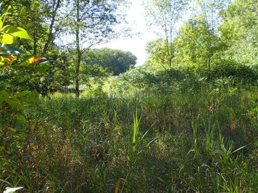 XXX 65th Street SW, Howard Lake, MN 55349