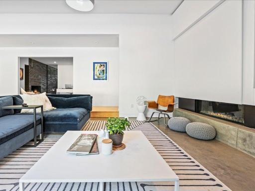 Ortal linear gas fireplace. Entire wall moves to reveal tv.