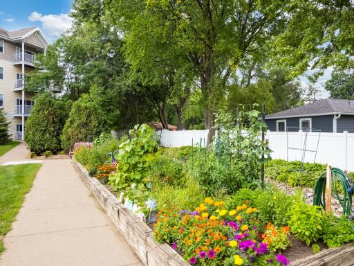 Get your spot at the community garden.