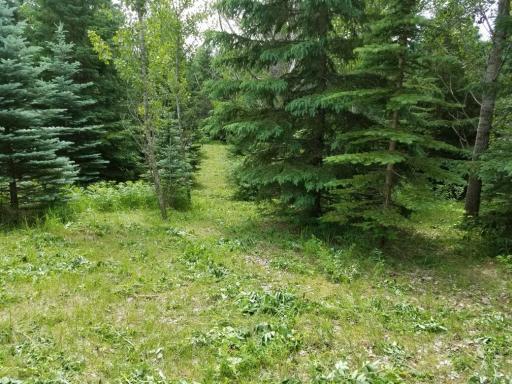 xxx Shelkay Lane SW, Alexandria, MN 56308