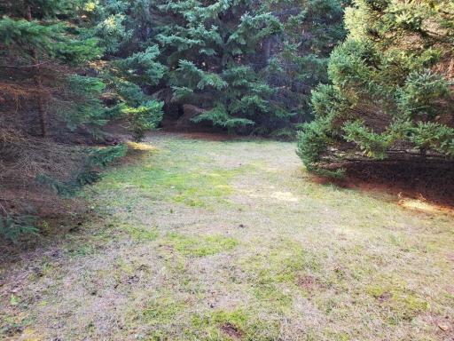 xxx Shelkay Lane SW, Alexandria, MN 56308