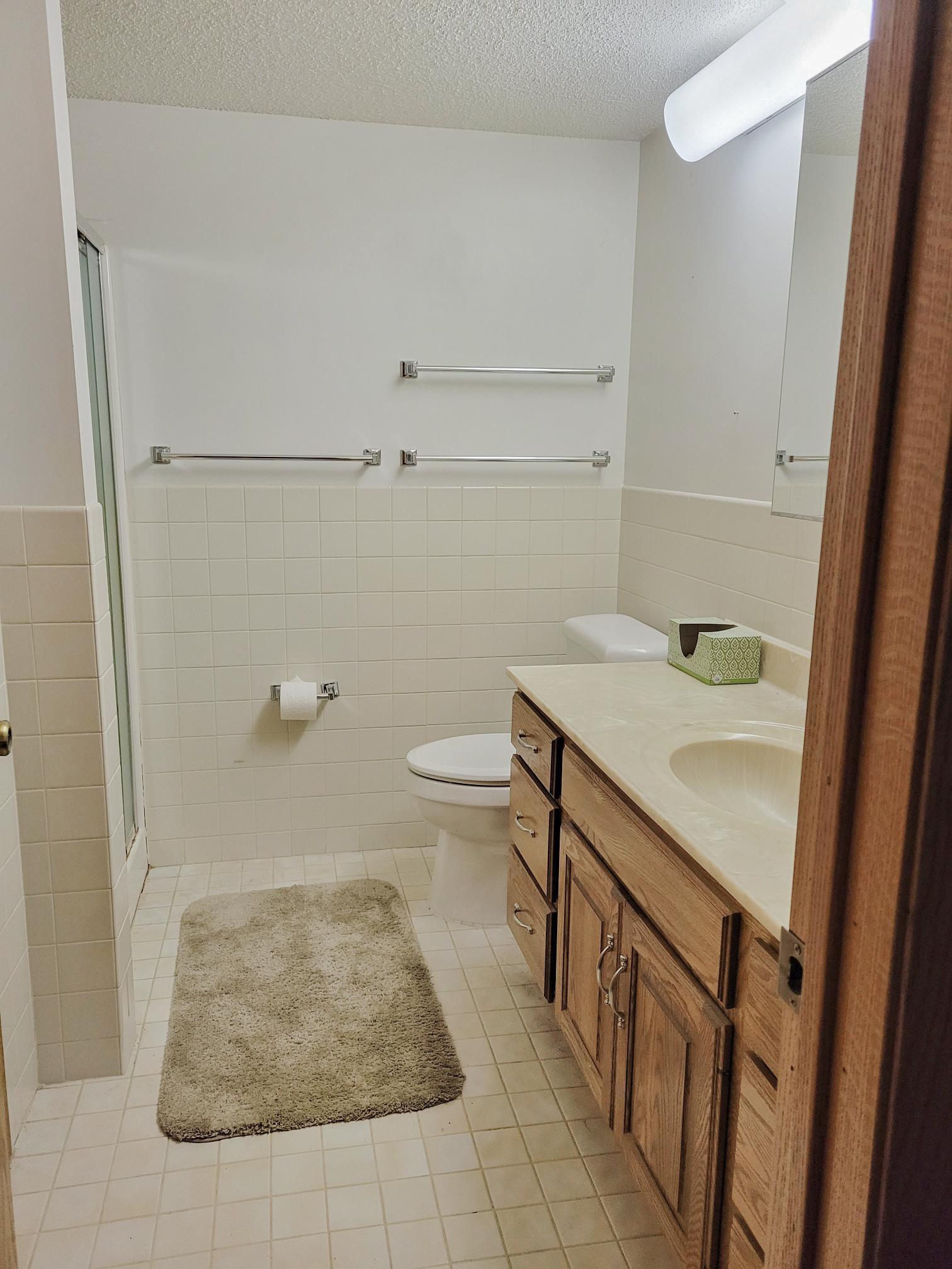 Downstairs bathroom with shower